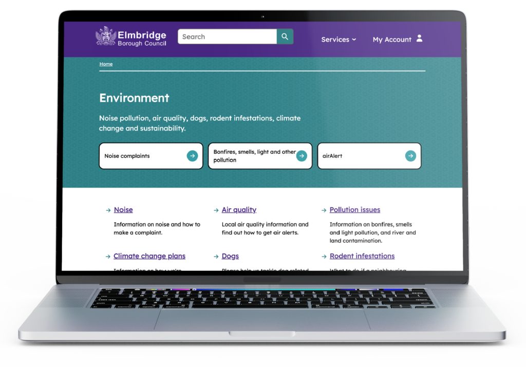 Screenshot of Elmbridge Borough Council's new website homepage