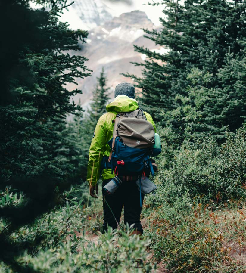 Person walking in a forest in hiking gear